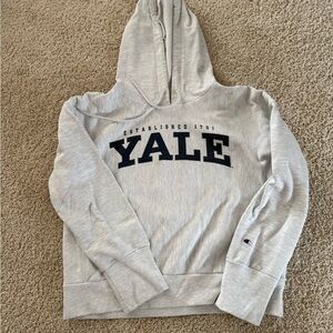 Champion Light Gray Yale Hoodie